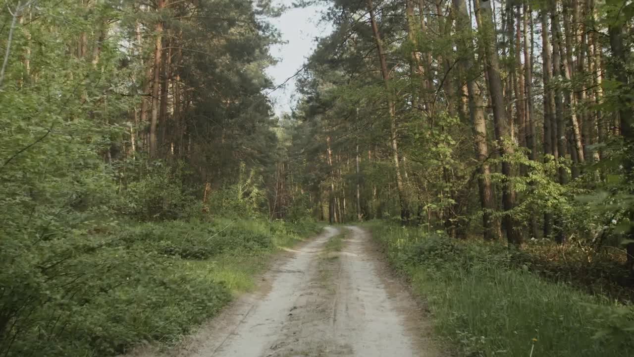 Video Stock Cinematic Road In A Forest Live Wallpaper For PC - Free Download