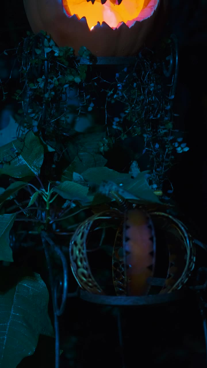 Free Stock Video Scary Halloween Pumpkin Lit Up In The Dead Of Night Live Wallpaper - Free Download