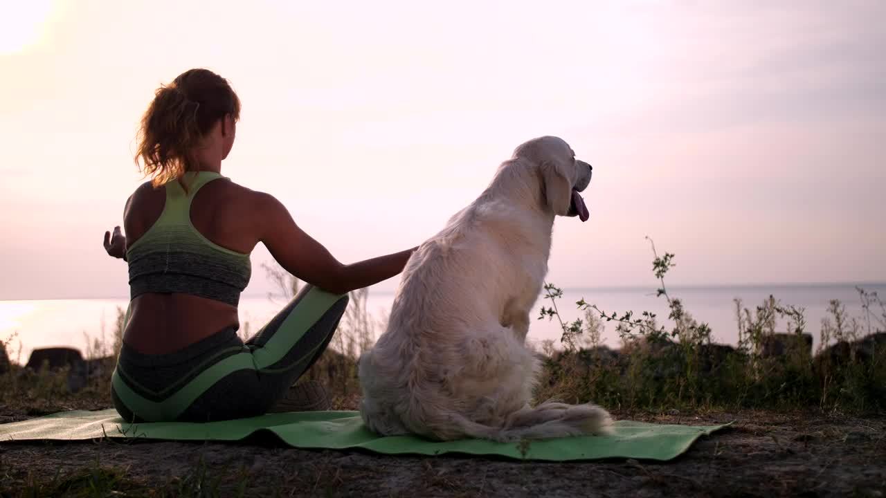 Free Stock Video Young Woman Meditating With Her Dog Aside Near Sea Live Wallpaper - Free Download