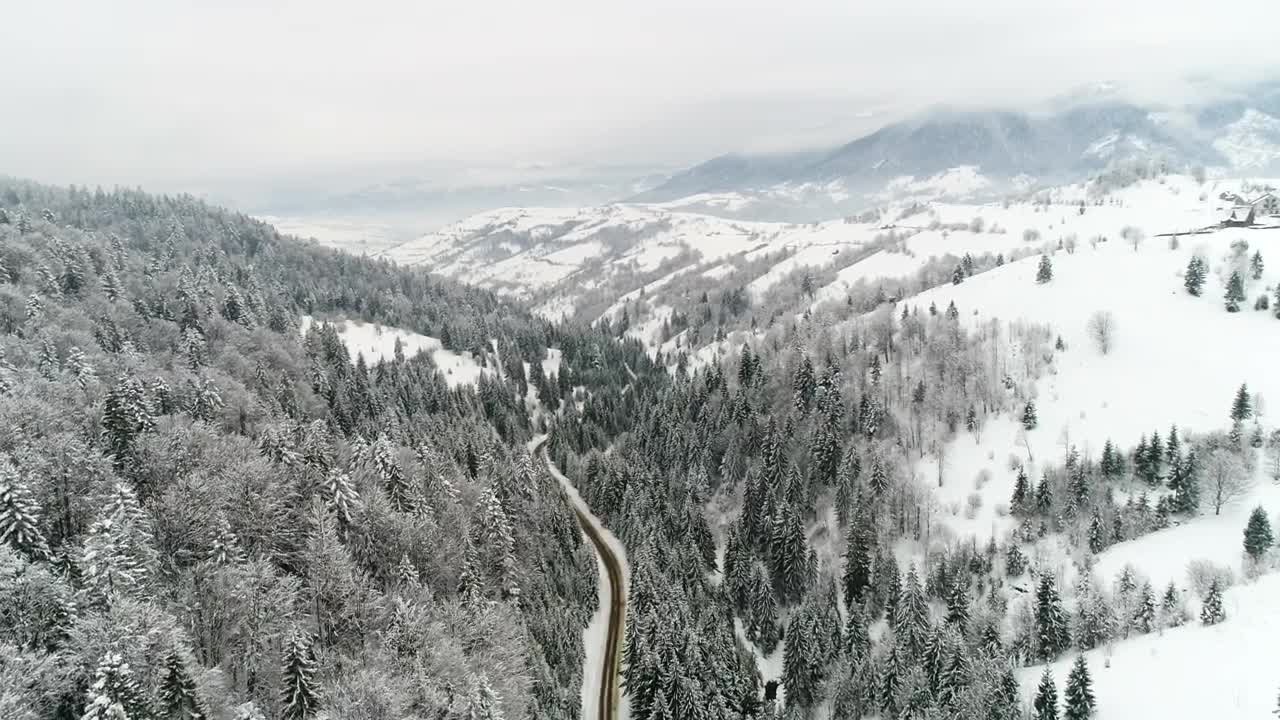 Free Video Stock Stunning Frozen Landscape In The Woods Live Wallpaper - Free Download