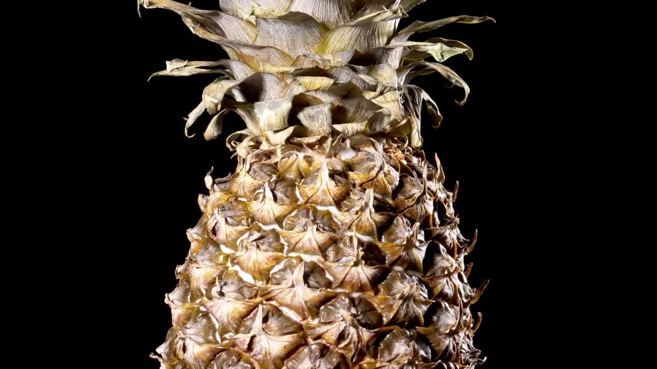 Video Stock Pineapple Fruit Rotating Live Wallpaper Free - Free Download