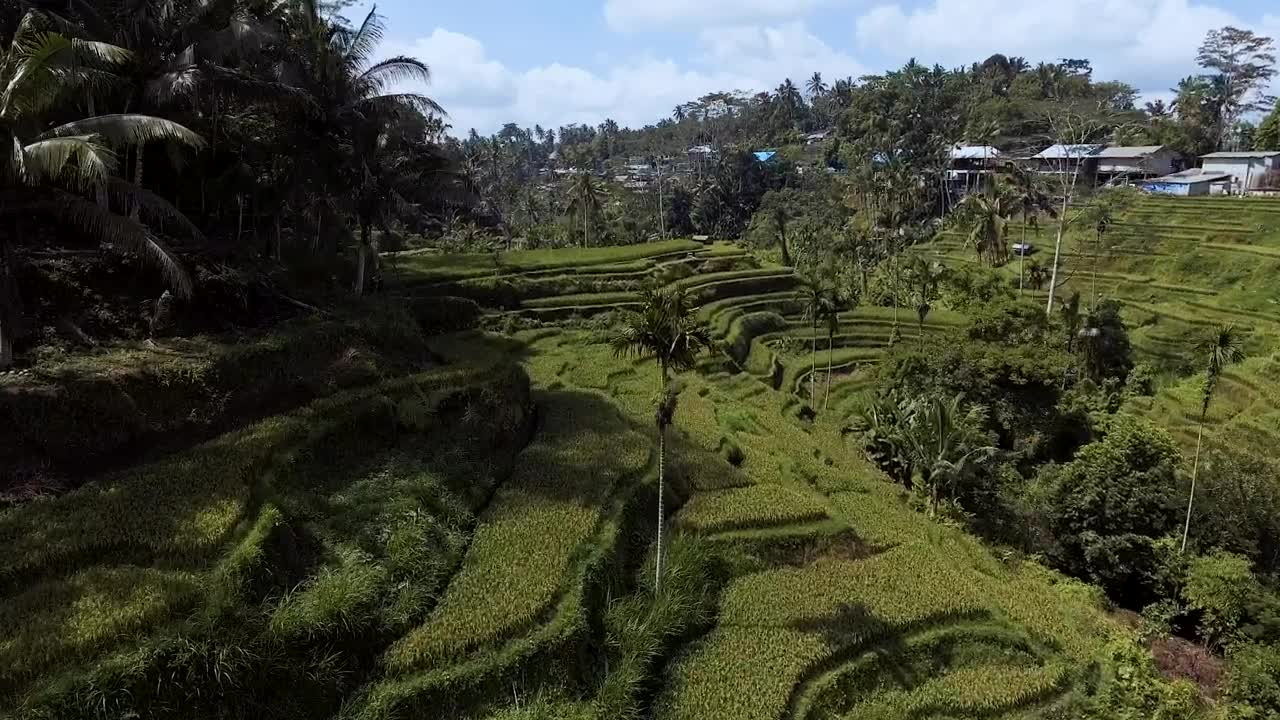 Free Stock Video Rice Terraces Paradise Live Wallpaper - Free Download