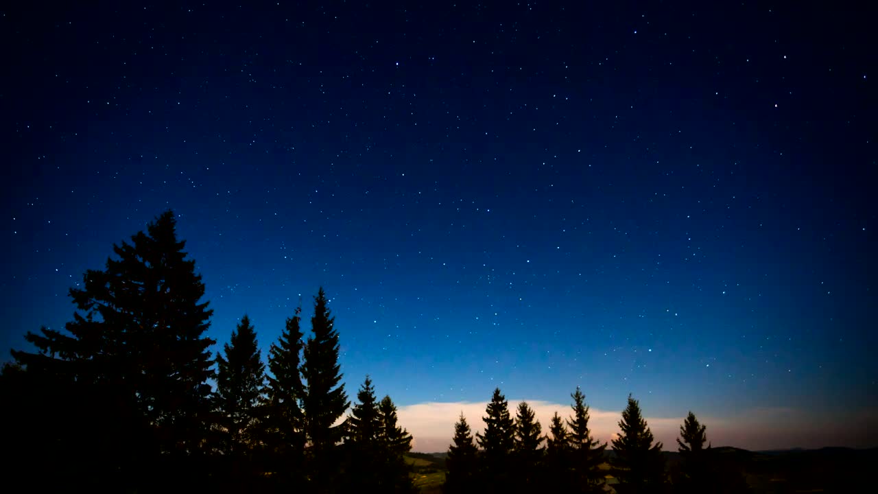 Free Stock Video Shooting Stars On A Night In The Woods Live Wallpaper - Free Download