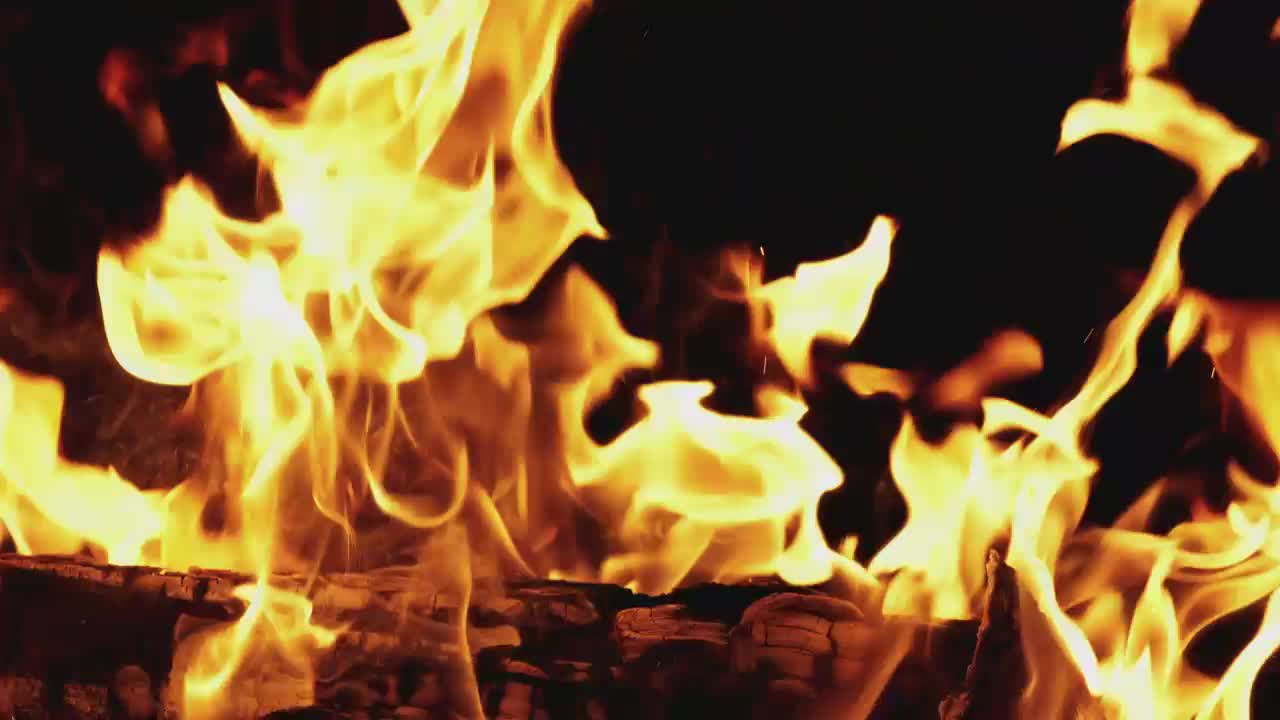Stock Video Firewood Burning On Black Background Live Wallpaper For PC - Free Download