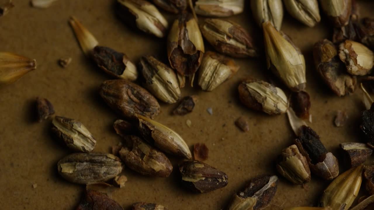 Video Stock Close Up Of Broken Barley Live Wallpaper For PC - Free Download