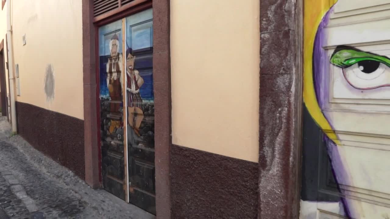 Stock Video Mural Of A Face On A Gate Live Wallpaper - Free Download