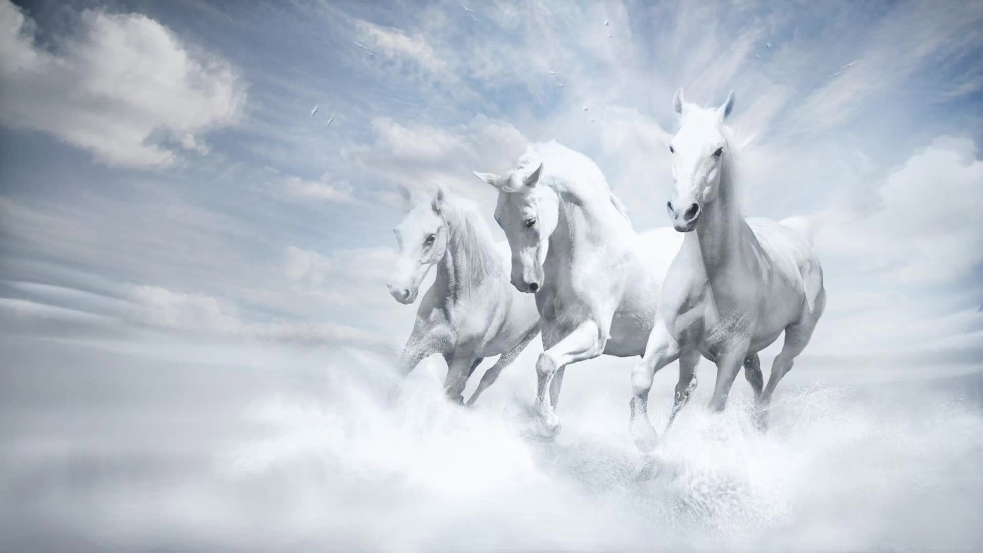 White  Horses  Fantasy  Clouds  Art  Live  Wallpaper - Free Download