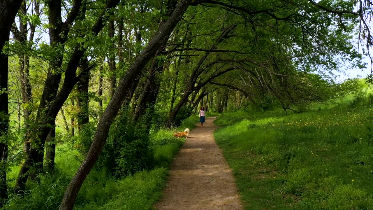 Stock Footage Woman And Her Dog Working Through A Forest Path Live Wallpaper - Free Download