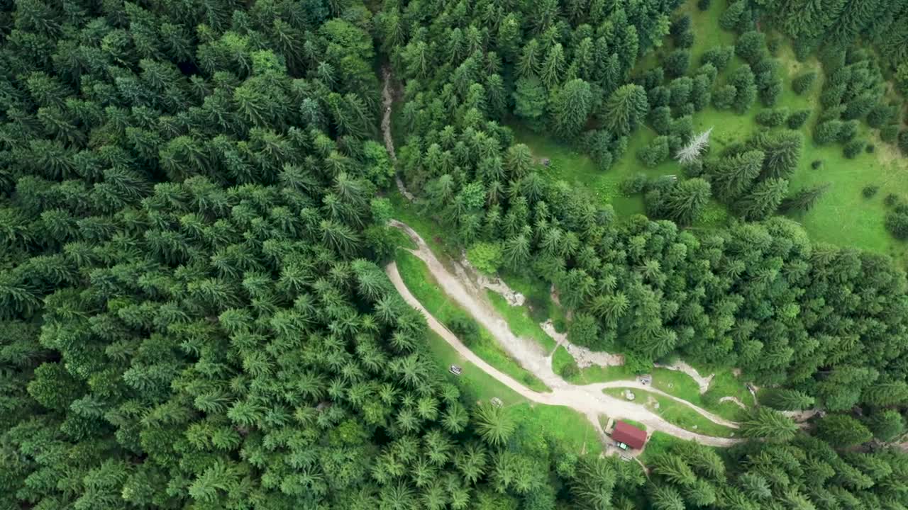 Free Video Stock Small Building Alone In A Forest Live Wallpaper - Free Download