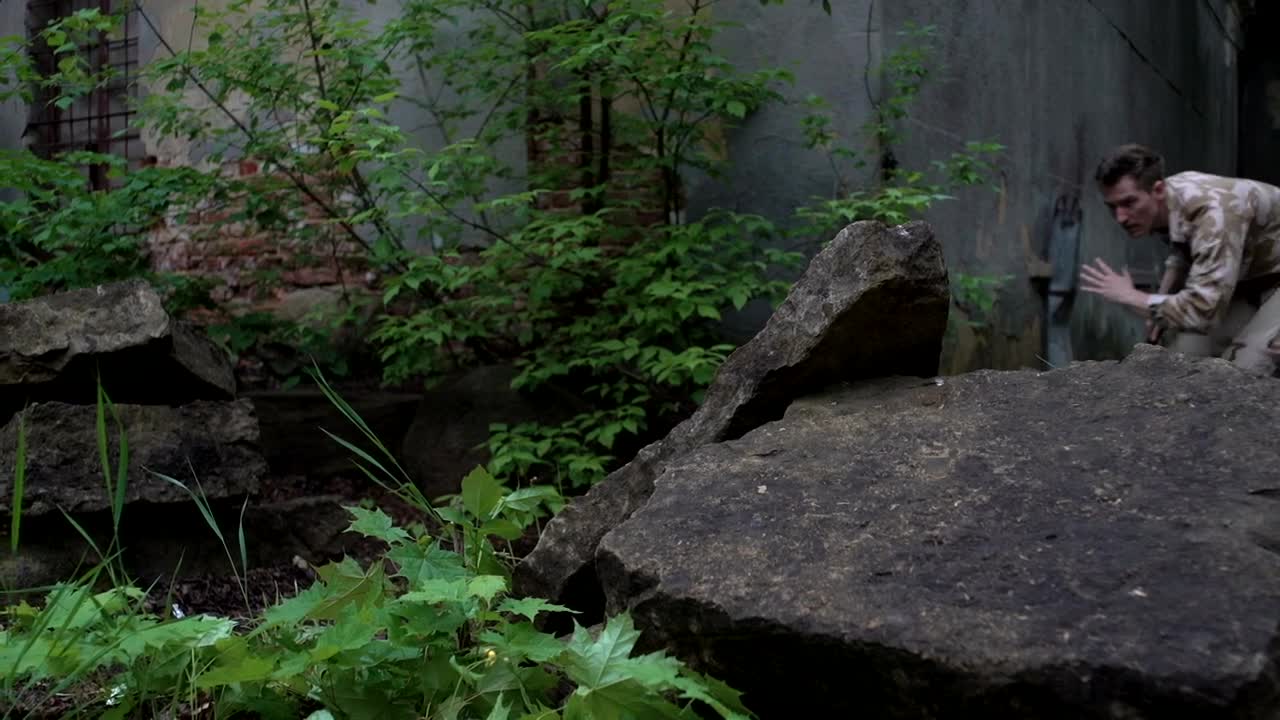 Free Video Stock Soldier Lurking In The Woods Live Wallpaper - Free Download