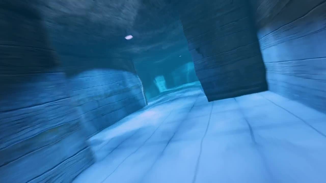 Free Stock Video Underwater Corridors In A D Animation Live Wallpaper - Free Download