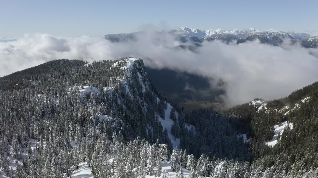 Free Video Stock Snowy Mountain In Canada Full Of Pine Trees Live Wallpaper - Free Download