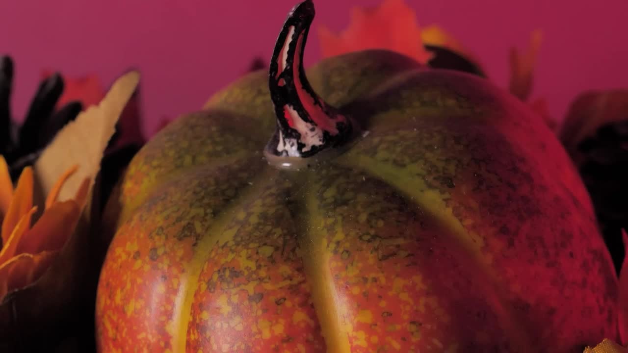 Stock Video Halloween Pumpkin Treats Live Wallpaper For PC - Free Download
