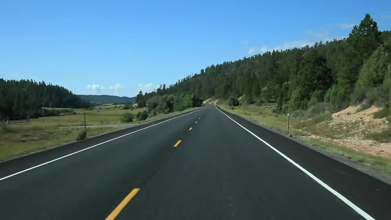 Stock Video Forests By The Road Live Wallpaper For PC - Free Download