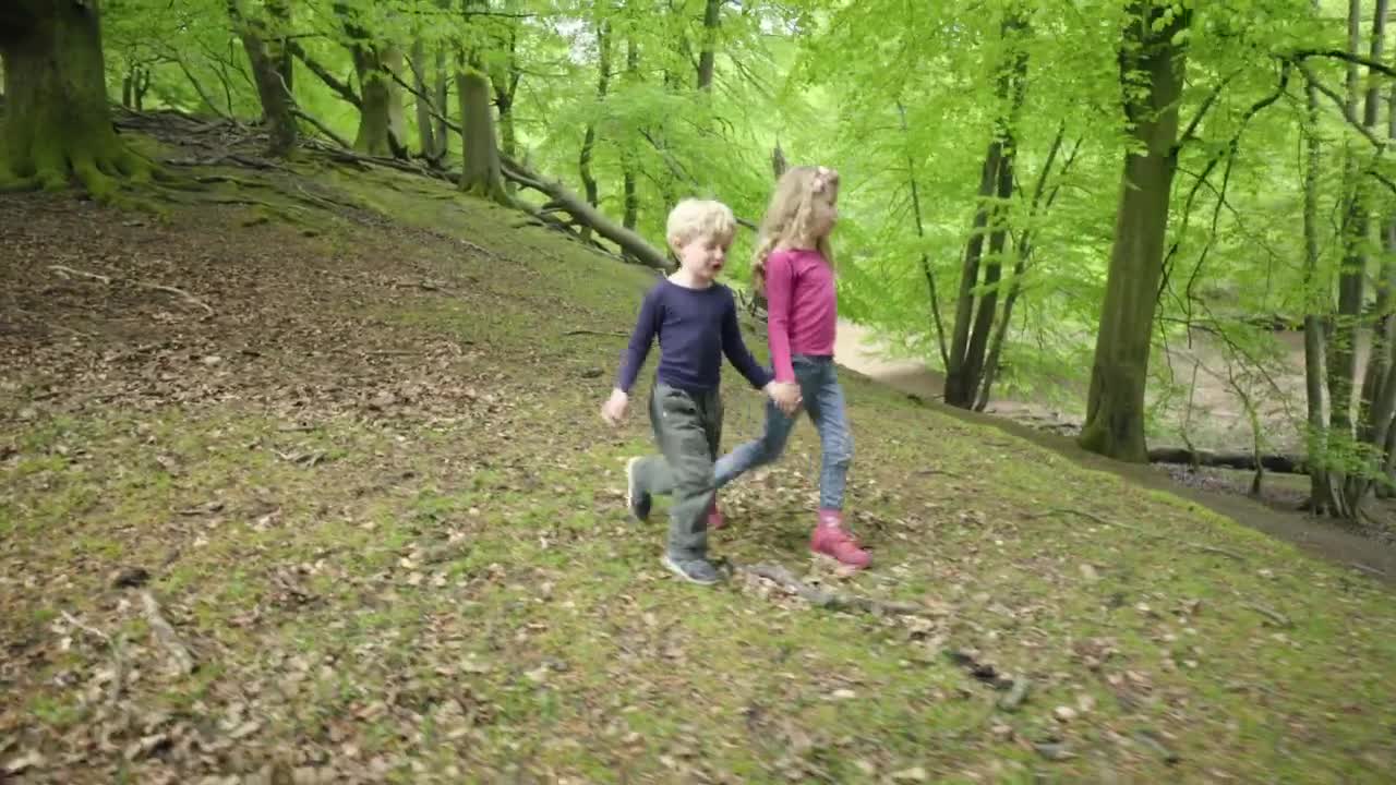 Video Stock Children Exploring A Forest Live Wallpaper For PC - Free Download