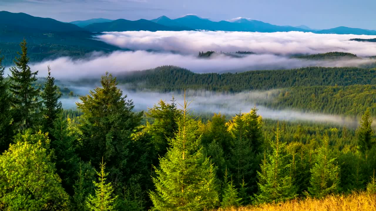 Free Video Stock Sunrise In A Foggy Mountain Live Wallpaper - Free Download