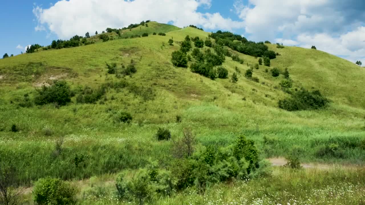 Free Video Stock Summer Fields Covering A Mountain Live Wallpaper - Free Download