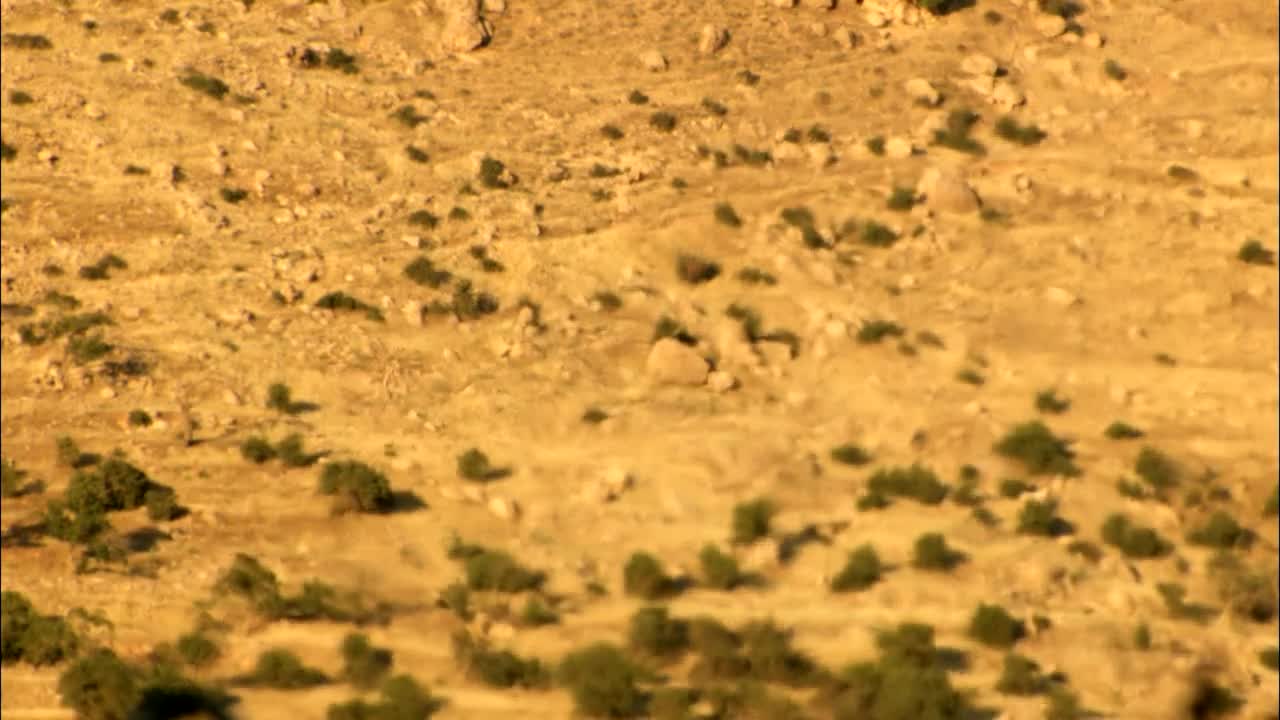 Stock Video Haze Across The Desert Animated Wallpaper - Free Download