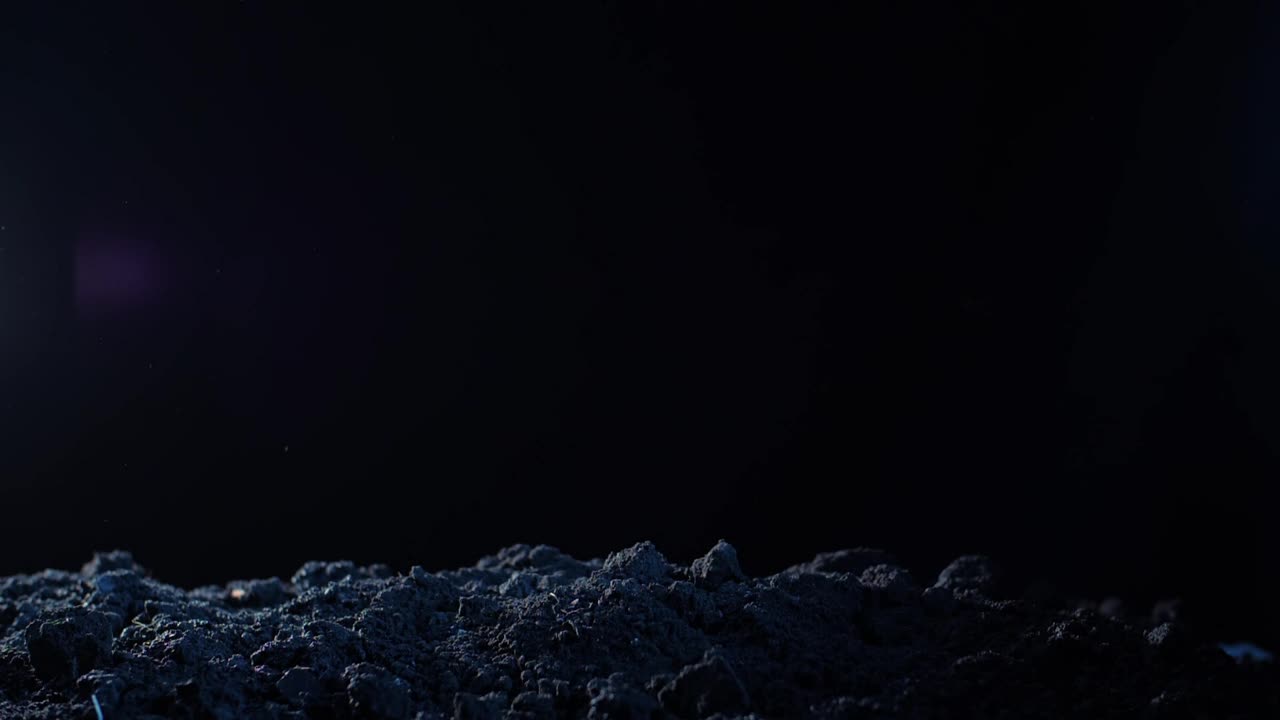Stock Video Hand Of An Undead Rising From His Grave Live Wallpaper For PC - Free Download