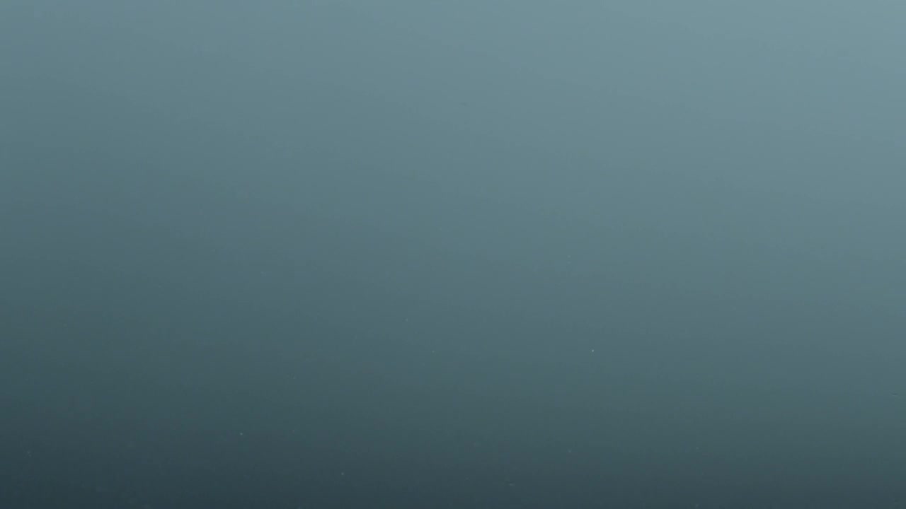 Stock Footage Water Drop With Ripples Live Wallpaper - Free Download