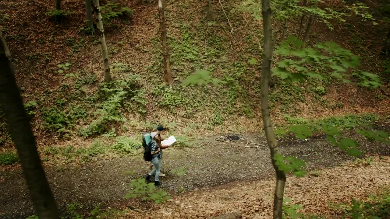 Stock Video People Exploring The Woods For Camping Live Wallpaper - Free Download