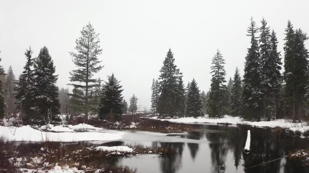 Free Stock Video River In A Snowy Forest Of Canada Live Wallpaper - Free Download