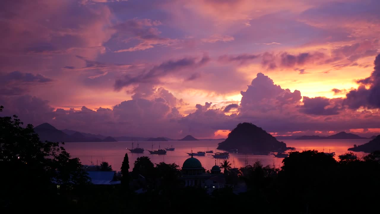 Video Stock Pink Sunset On A Tropical Landscape Live Wallpaper Free - Free Download