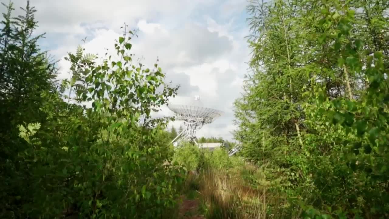 Stock Video Communications Antenna In The Distance Seen From The Undergrowth Live Wallpaper For PC - Free Download