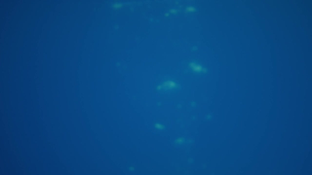 Free Stock Video Woman Comes Out Of The Water Live Wallpaper - Free Download