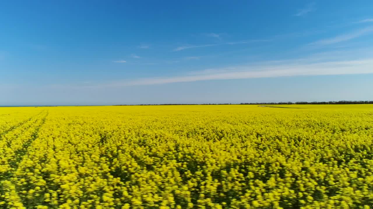 Stock Video Crops Stretching Towards The Horizon Live Wallpaper For PC - Free Download