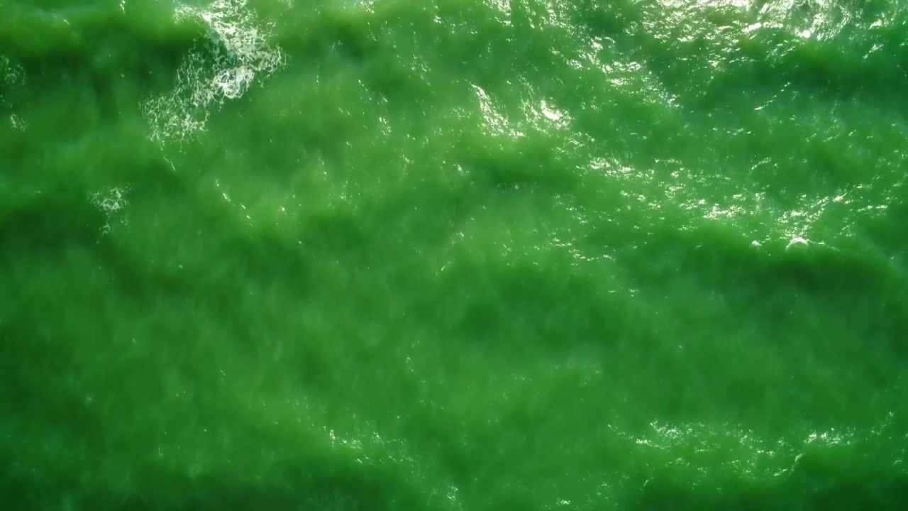 Free Stock Video Sea Waves In Green Tones Reaching The Beach Live Wallpaper - Free Download