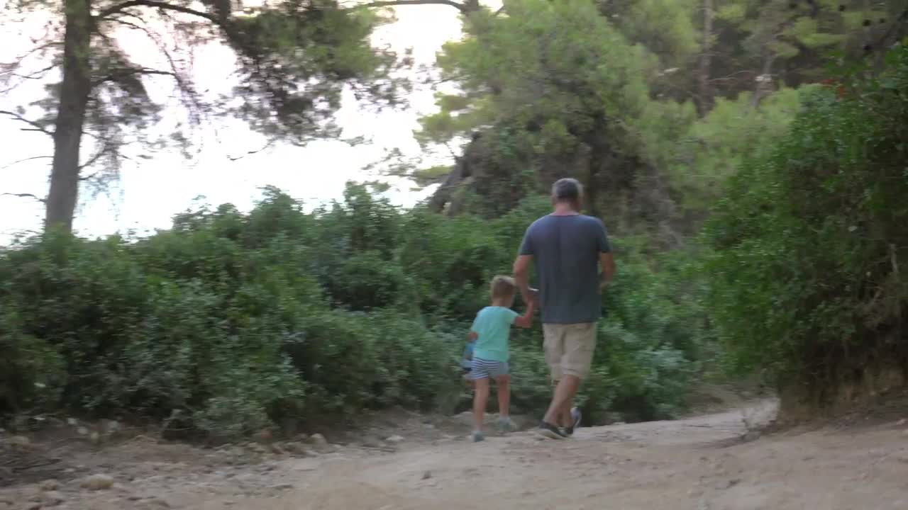 Stock Footage Walking Towards A Forest Lake Live Wallpaper - Free Download