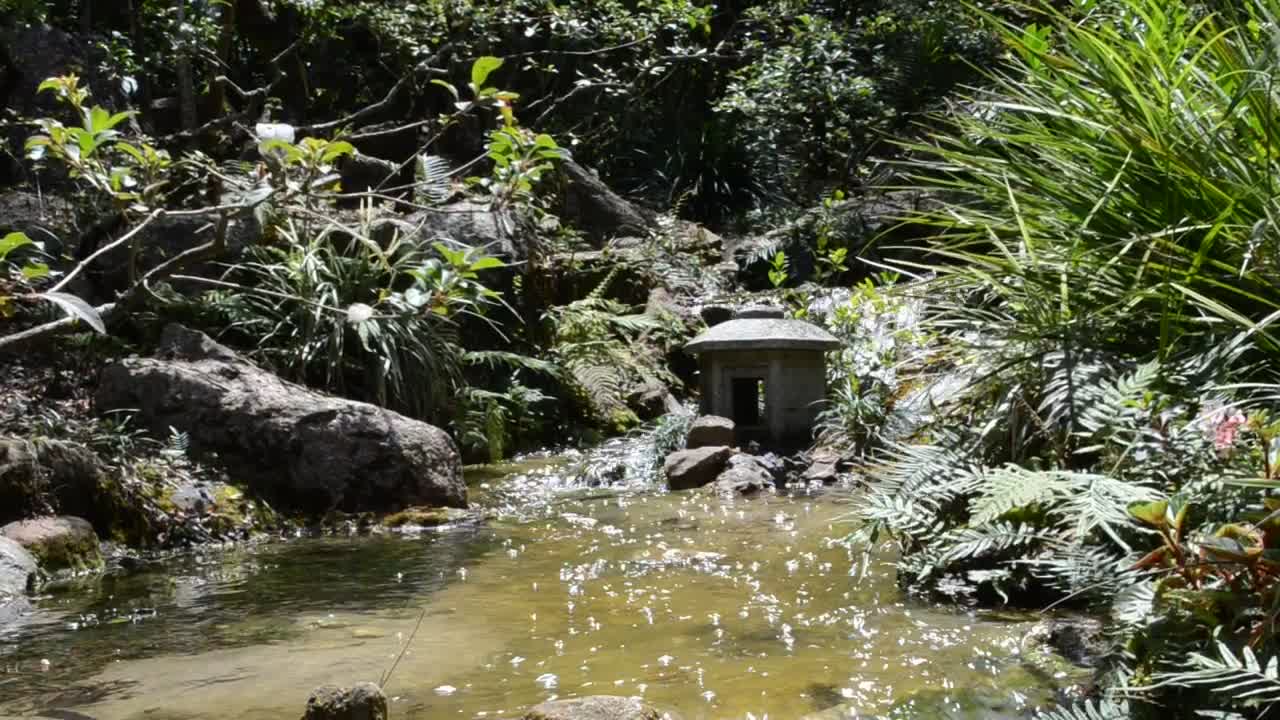 Free Video Stock Stream Flowing Gently Live Wallpaper - Free Download