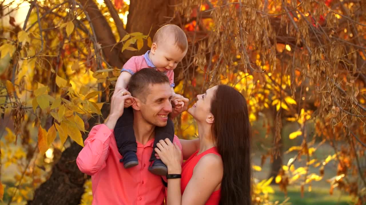 Stock Video Father And Mother With Their Baby In Autumn Nature Live Wallpaper For PC - Free Download