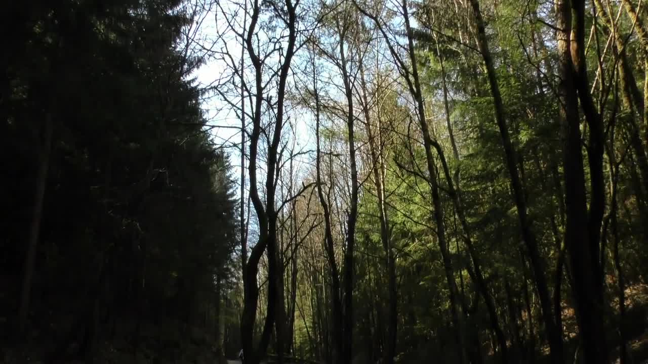 Stock Video Group Of Cyclists On A Road In The Middle Of Live Wallpaper For PC - Free Download