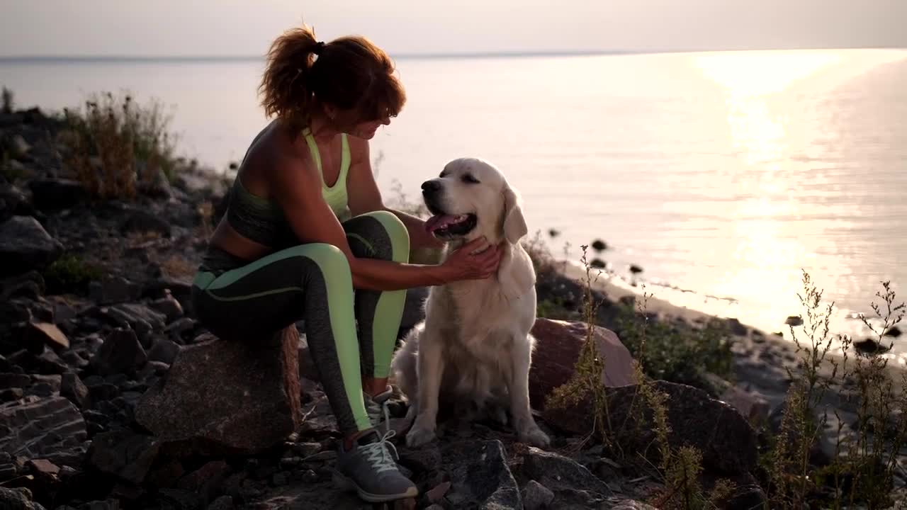 Free Stock Video Woman Stroking Her Dog On A Shoreline At Sunset Live Wallpaper - Free Download