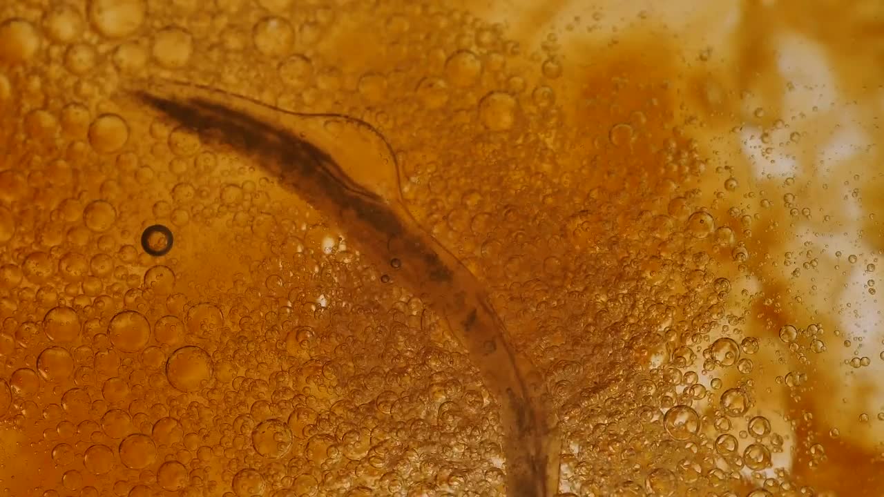 Free Video Stock thick bacterial yellow liquid Live Wallpaper - Free Download