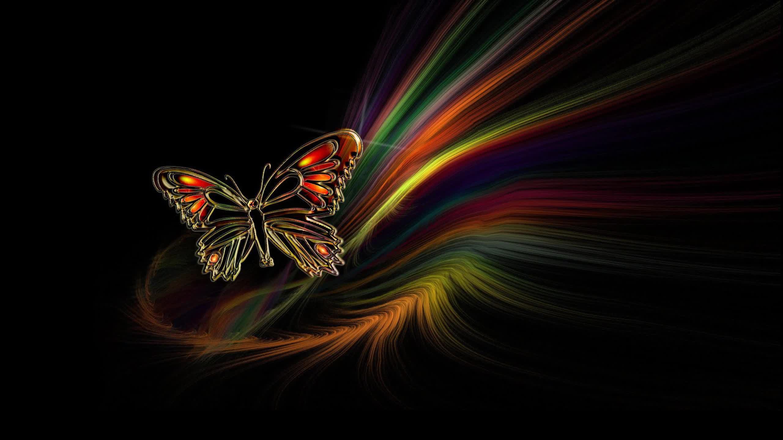 Colorful  Abstract  Butterfly  2K  Live  Wallpaper - Free Download