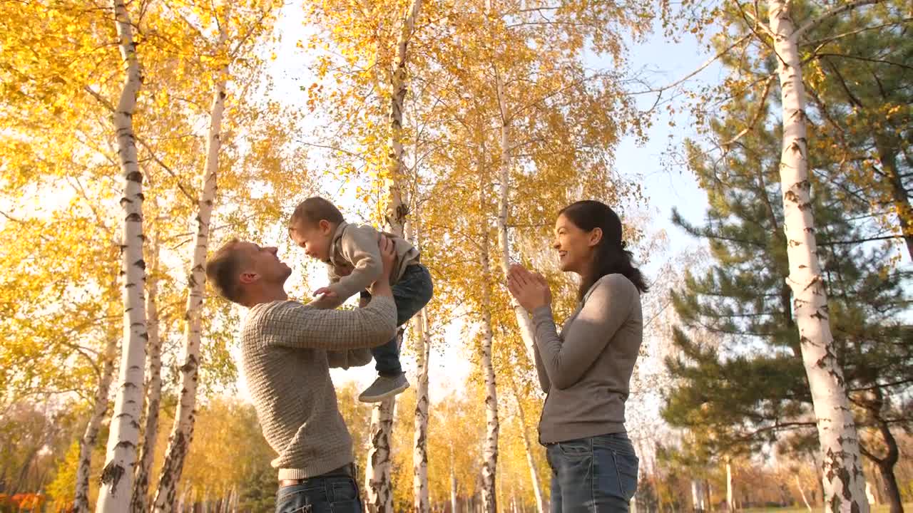 Stock Video Parents Playing With Their Little Son In The Park Live Wallpaper - Free Download