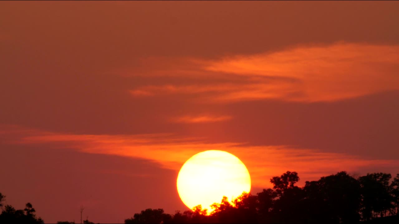 Free Video Stock Sun Setting Behind A Forest Live Wallpaper - Free Download