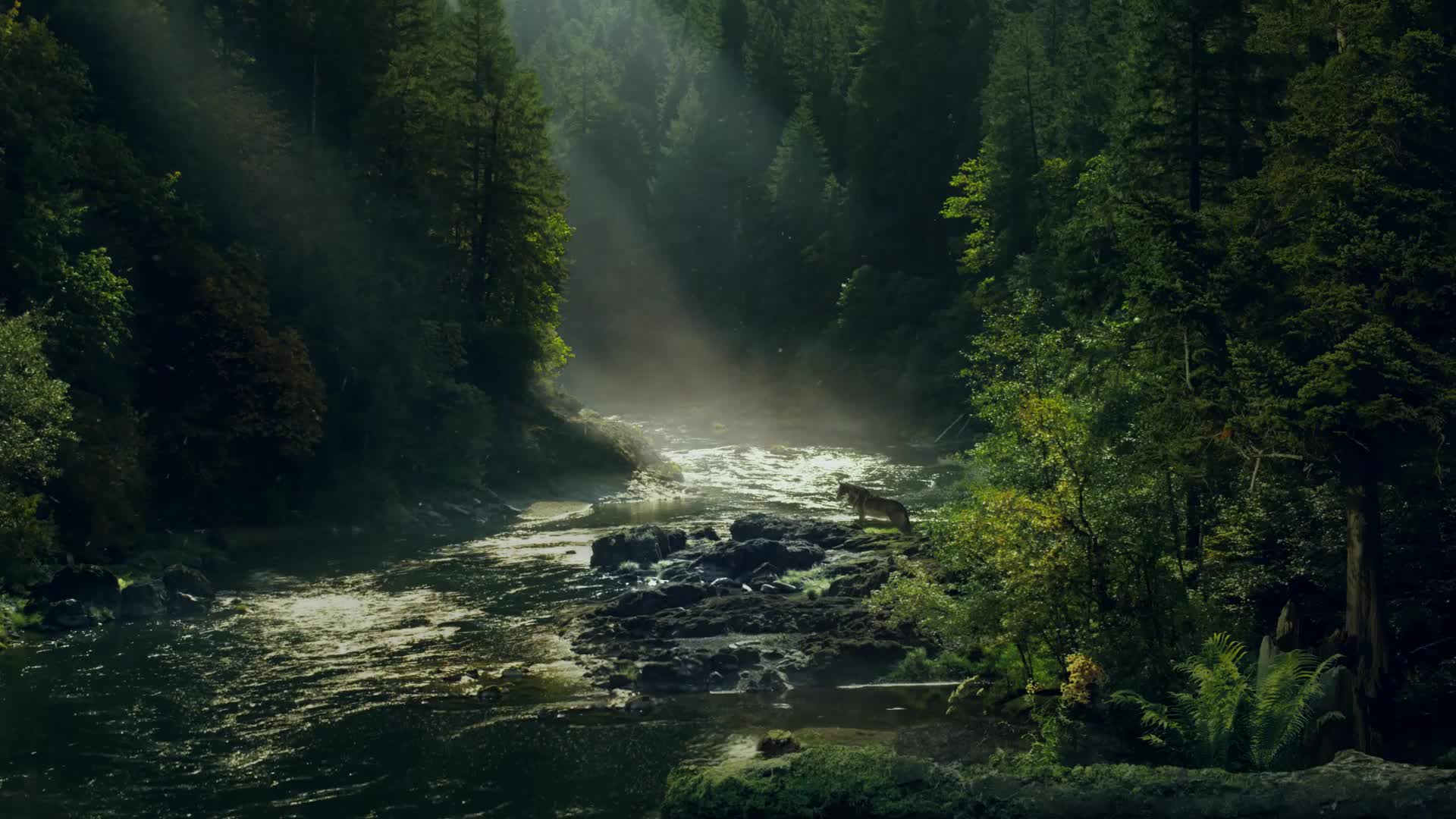 Farcry 5 Jacob Seed Hd Live Wallpaper Free - Free Download