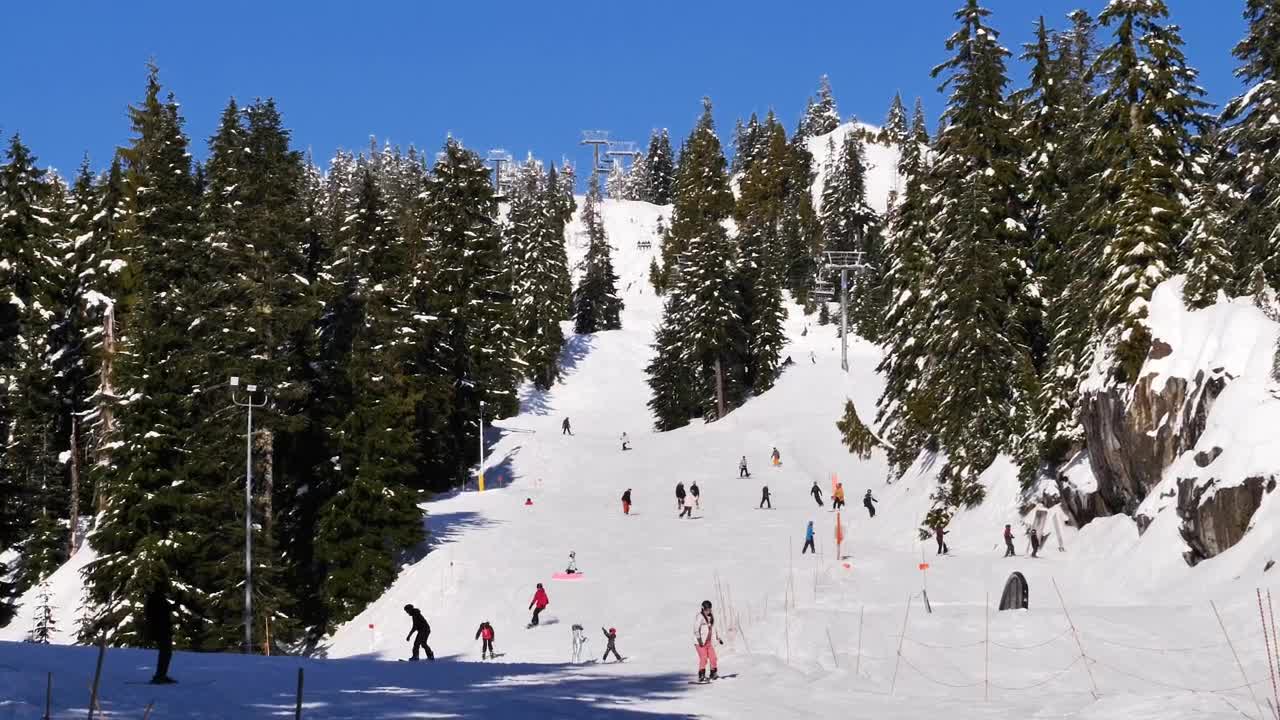 Free Video Stock Snowy Hill In A Forest Full Of Skiers Live Wallpaper - Free Download