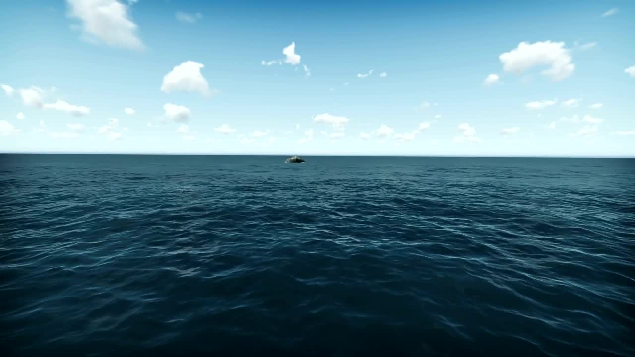 Free Stock Video Sea In D As A Shark Swims Out Live Wallpaper - Free Download