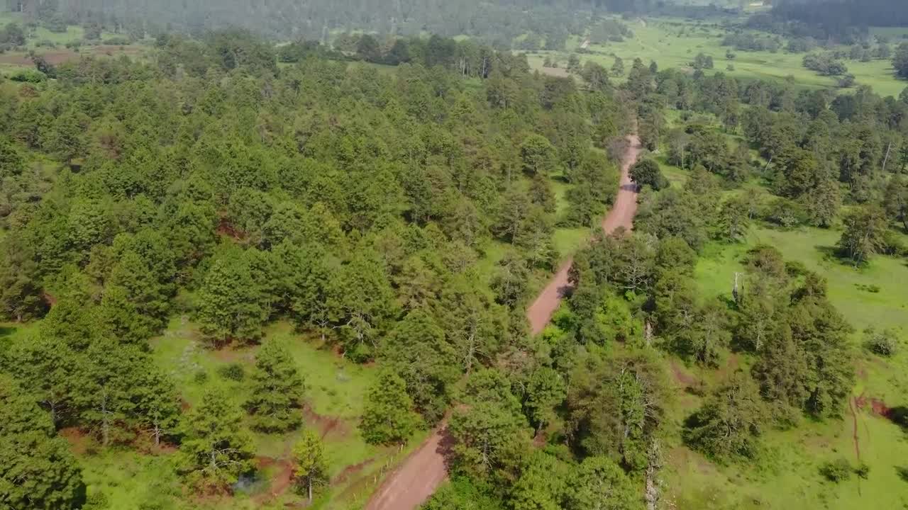 Stock Video Dirt Road That Crosses A Forest From Above Live Wallpaper For PC - Free Download