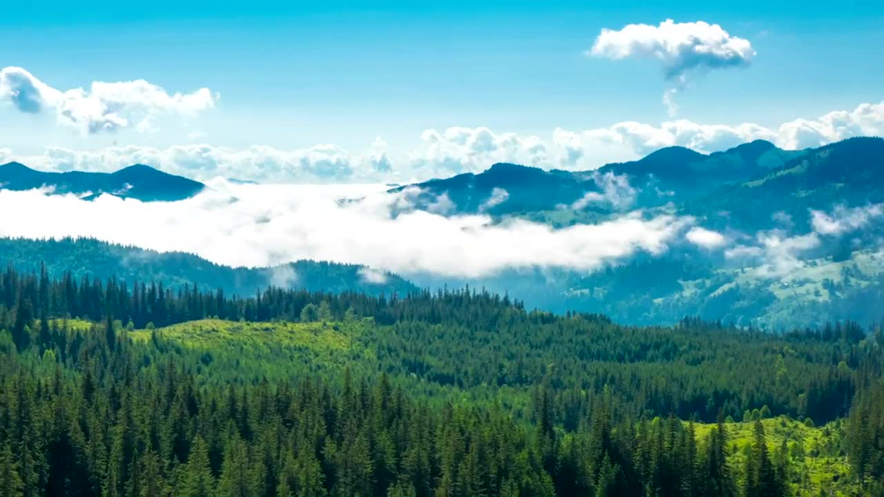 Stock Video Misty Morning In The Mountains Time Laps Animated Wallpaper - Free Download