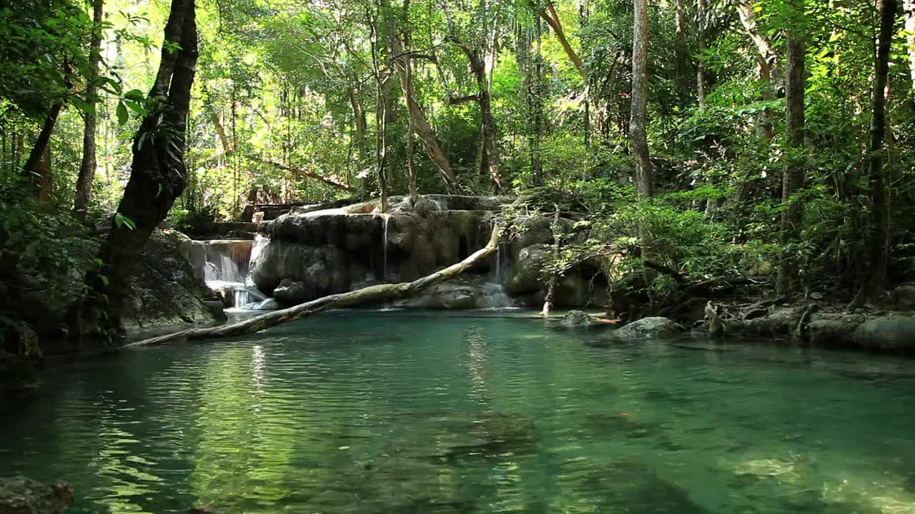 Stock Video Gentle Forest River And Waterfall Live Wallpaper For PC - Free Download