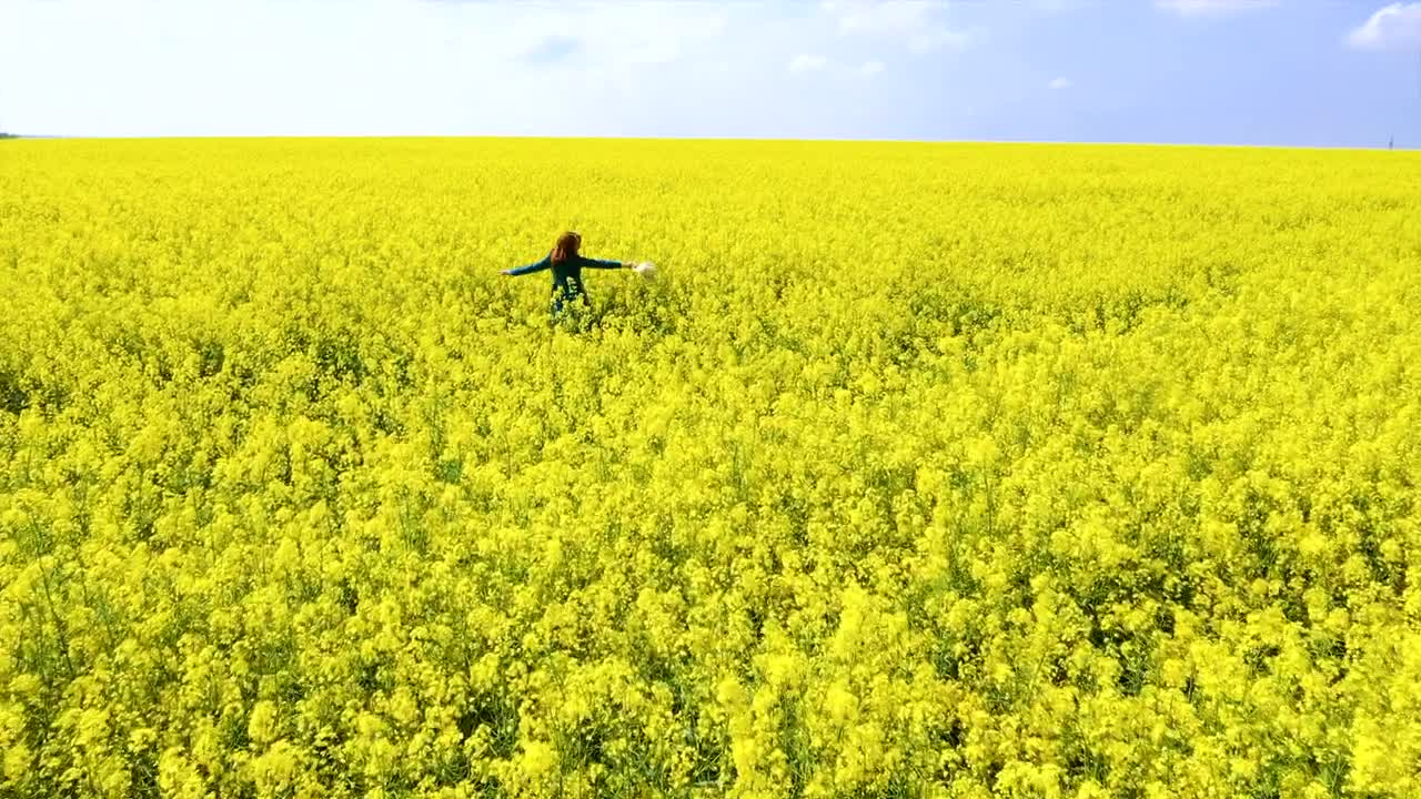 Stock Video Happy Woman On A Rapeseed Field Animated Wallpaper - Free Download