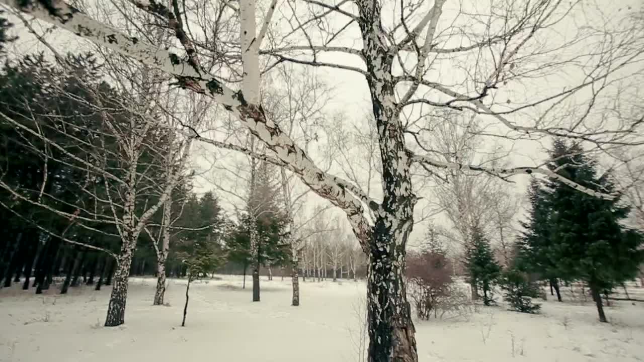 Free Video Stock Stylish Man Walking In The Snow Live Wallpaper - Free Download