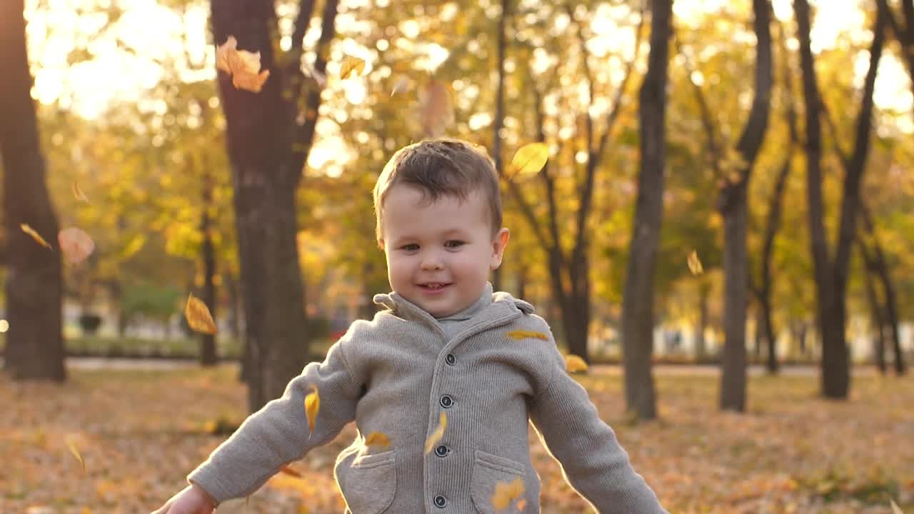 Stock Video Little Boy In The Park While Floating Autumn Leaves Animated Wallpaper - Free Download