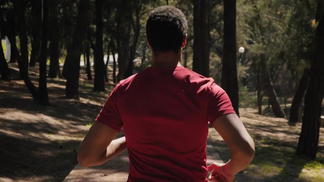 Stock Video Jogging Behind A Man In The Park Animated Wallpaper - Free Download
